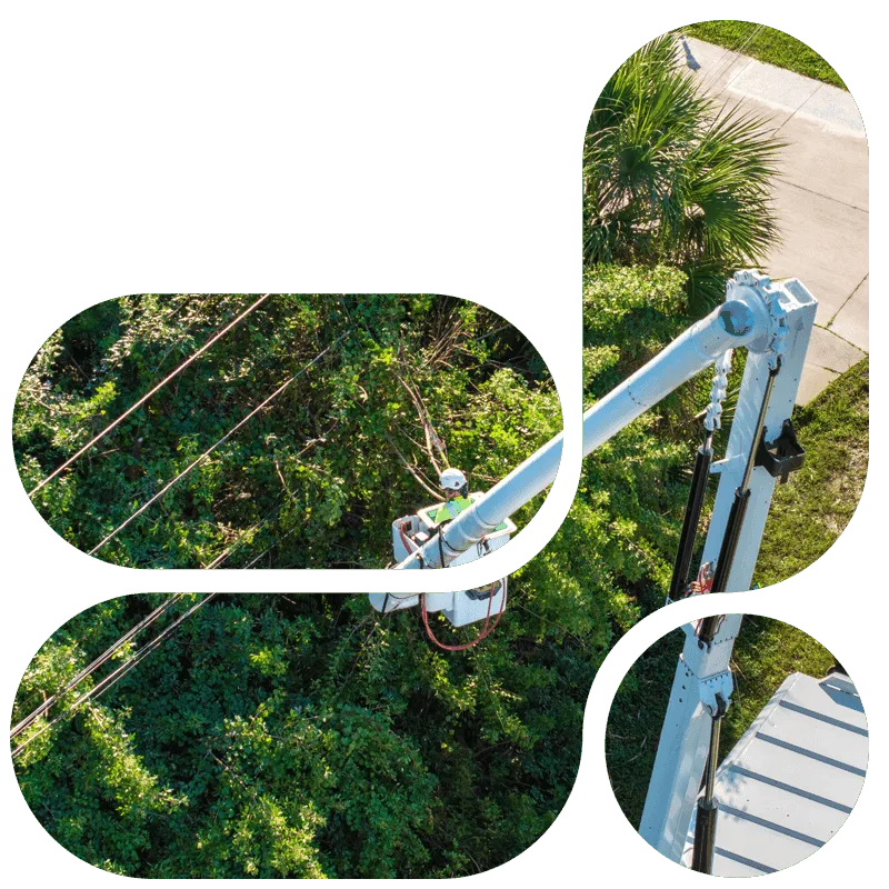 Digital Twin voor iedere organisatie 800x800