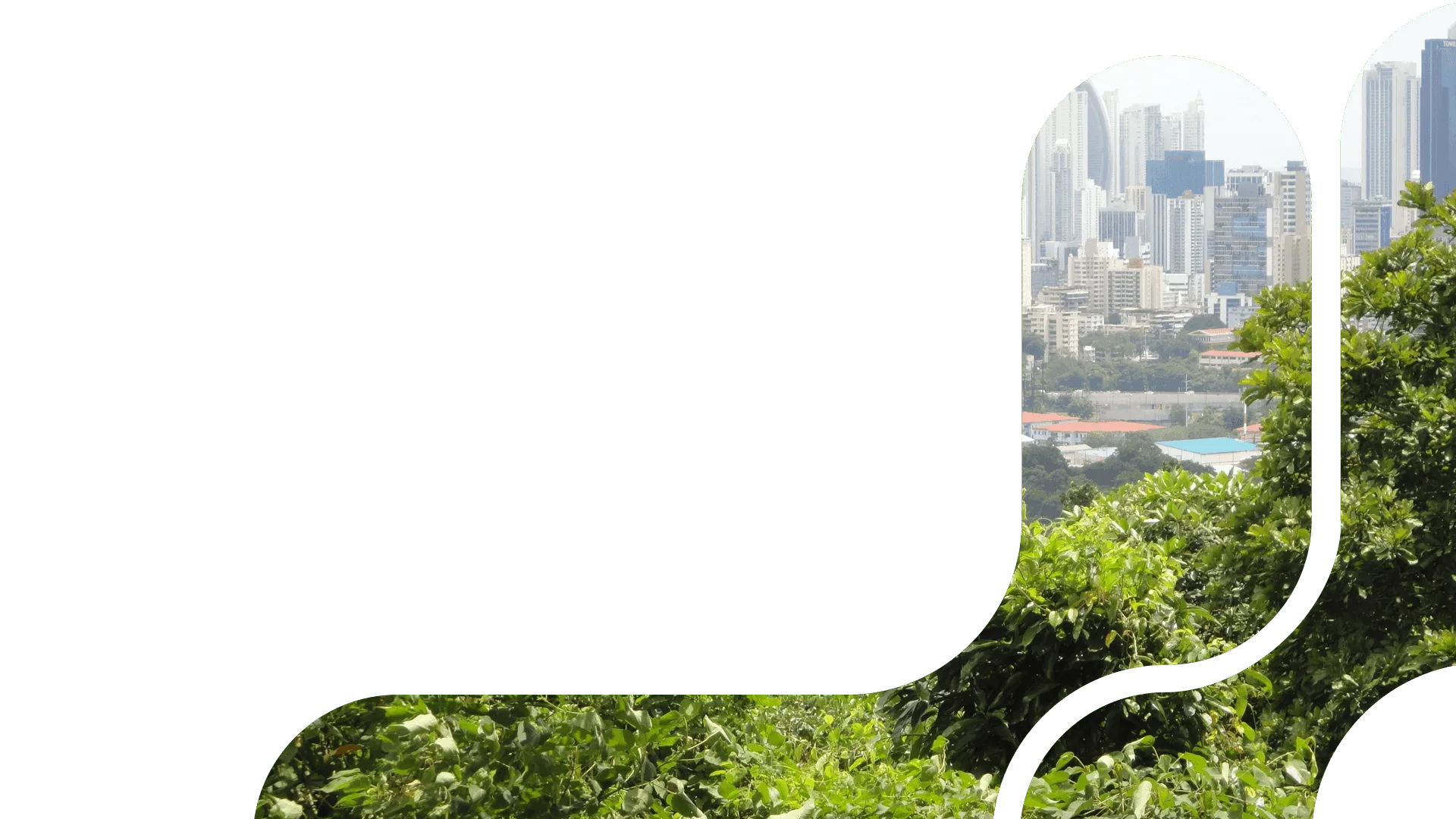 Integrale Managed Services Header 1920x1080