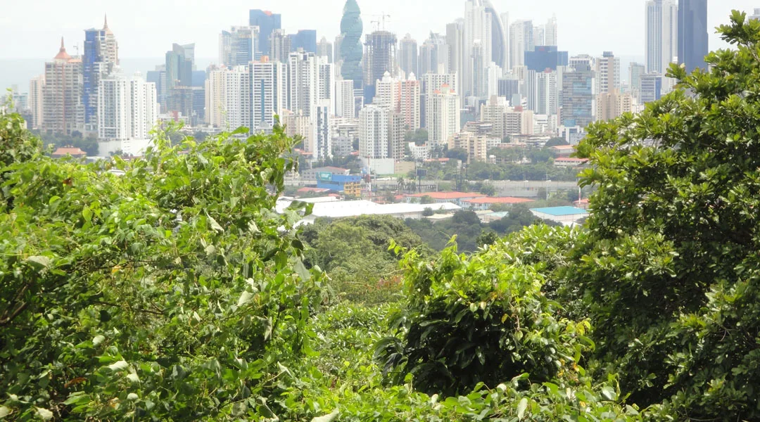 Integrale Managed Services mobiel header 1080 x 600