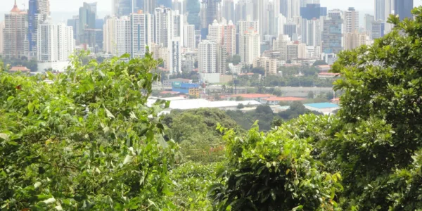 Integrale Managed Services overview 1080 x 500