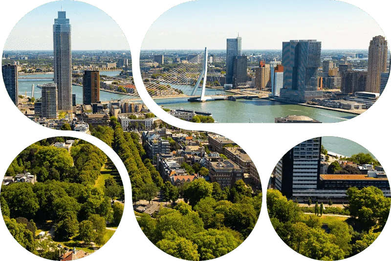 Sectoren shape3 800x800