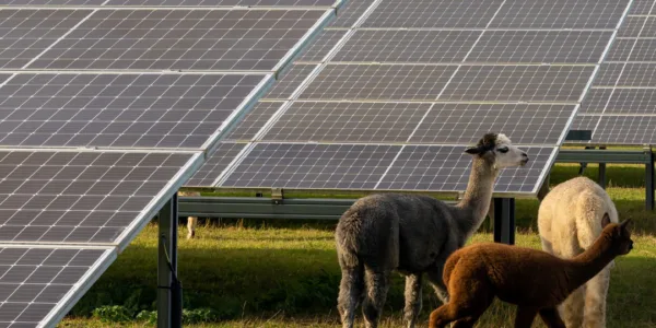 Energie Transitie Mobile 1080x600